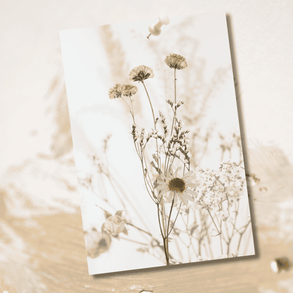 Droogbloemen